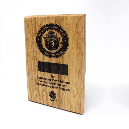 Smokey Bear Fire Prevention Appreciation Plaque