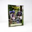Junior Forest Ranger Adventure Guide - Spanish