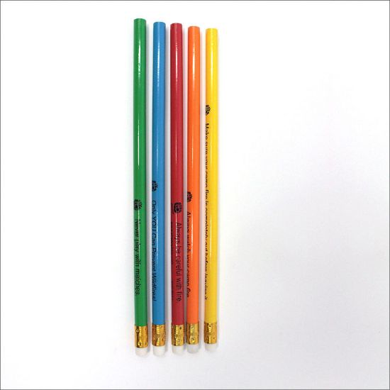 national-symbols-cache-smokey-bear-pencils