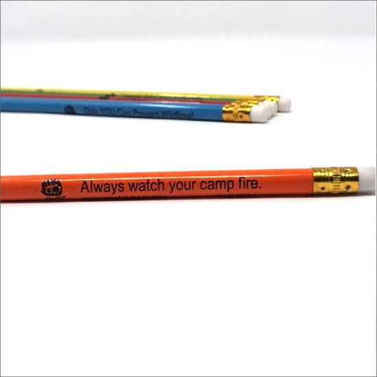 national-symbols-cache-smokey-bear-pencils