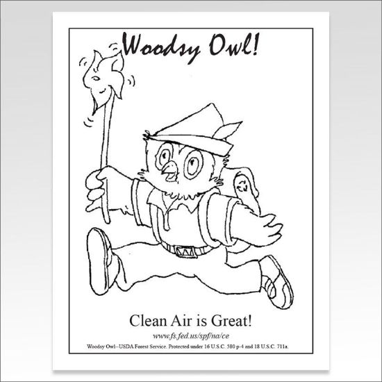 Picture of Woodsy Owl "Clean Air is Great" Coloring Sheet