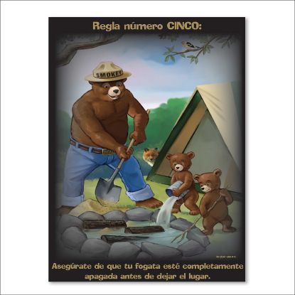 Picture of Regla numero CINCO Poster - Spanish