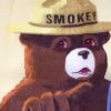 Picture of Smokey Bear Bandanas (Cotton)(Currently Out of Stock, Due in on 09/15/2026)