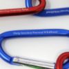 Picture of Help Smokey Prevent Wildfires Carabiners