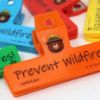 Picture of Smokey Bear Emoji Chip Clips (Temporarily Out of Stock)