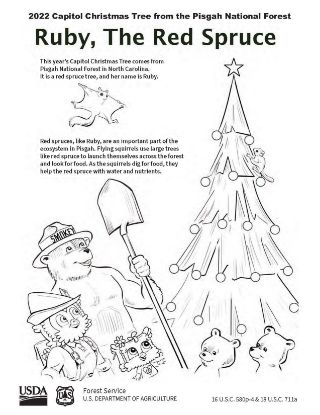 Picture of 2022 Capitol Christmas Tree Coloring Sheet #3