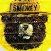 Picture of Smokey Bear Push Pop Fidget Game