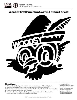 Picture of Woodsy Owl Pumpkin Carving Stencil Sheet Digital Download