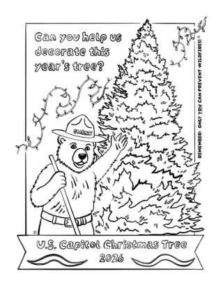 Picture of 2026 Capitol Christmas Tree Ornament Coloring Page #3 Smokey Bear, Digital Download.