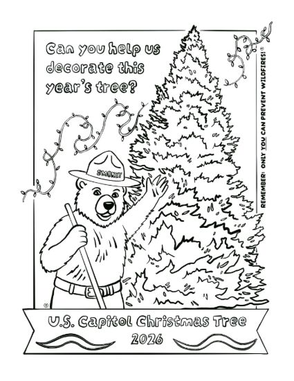 Picture of 2026 Capitol Christmas Tree Ornament Coloring Page #3 Smokey Bear, Digital Download.