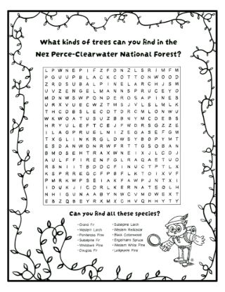 Picture of 2026 Capitol Christmas Tree Ornament Coloring Page #5 Word Find, Digital Download.