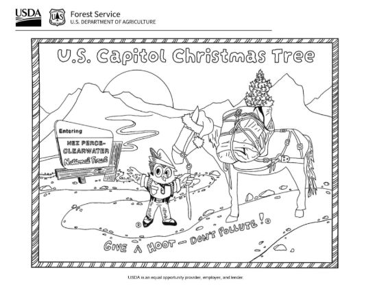 Picture of 2026 Capitol Christmas Tree Ornament Coloring Page #4 Woodsy Owl, Digital Download.