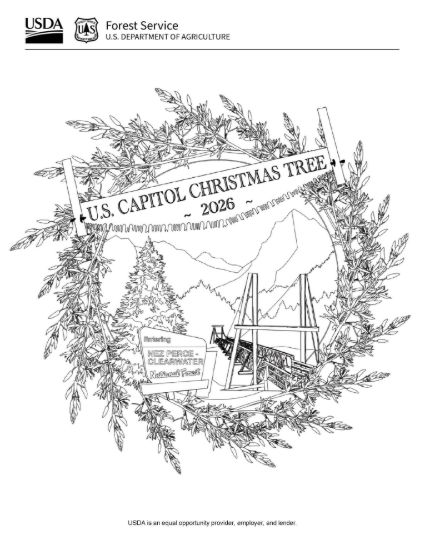 Picture of 2026 Capitol Christmas Tree Ornament Coloring Page #1, Digital Download.